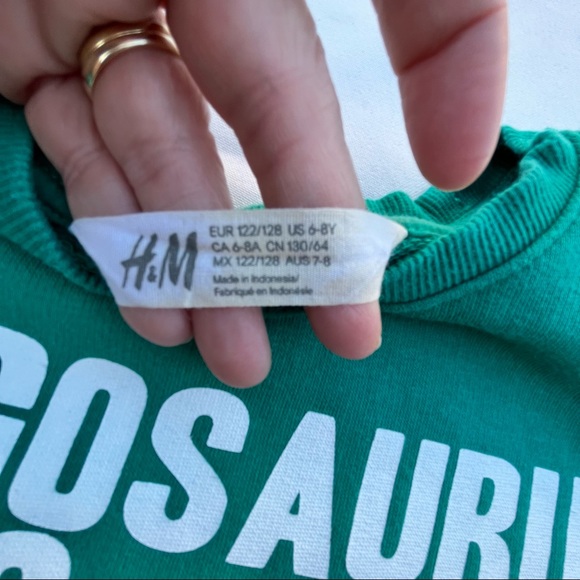 H & M Boys Size 6-8 Green Long Sleeve Dinosaur Graphic Sweater Dino Top - Picture 2 of 11